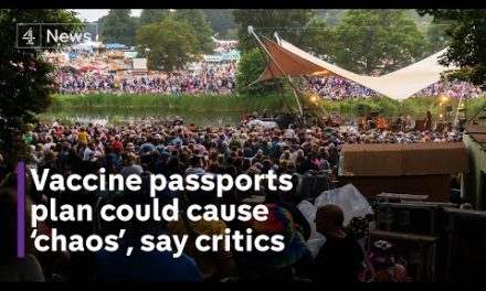 Critics warn of coronavirus vaccine passports ‘chaos’