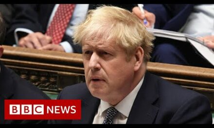 UK PM Boris Johnson faces calls to quit after lockdown party apology – BBC News